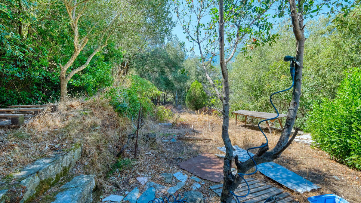 Maison à SAN-MARTINO-DI-LOTA