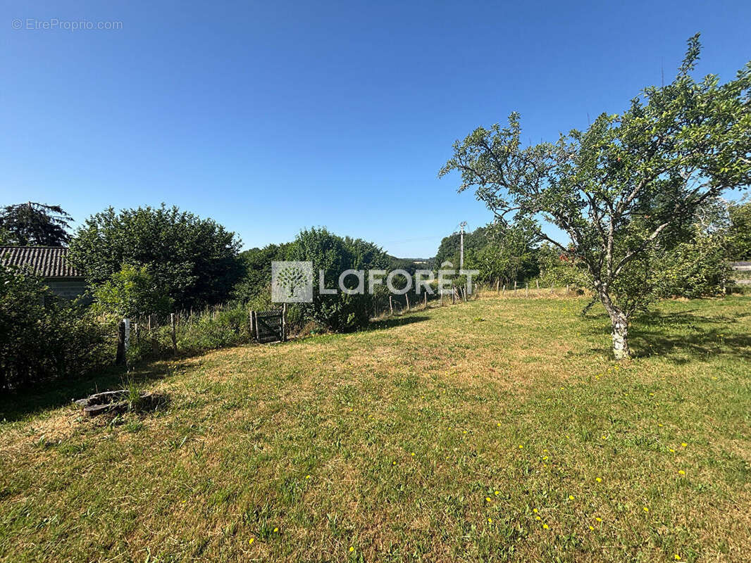 Maison individuelle- Terrain - photo 4