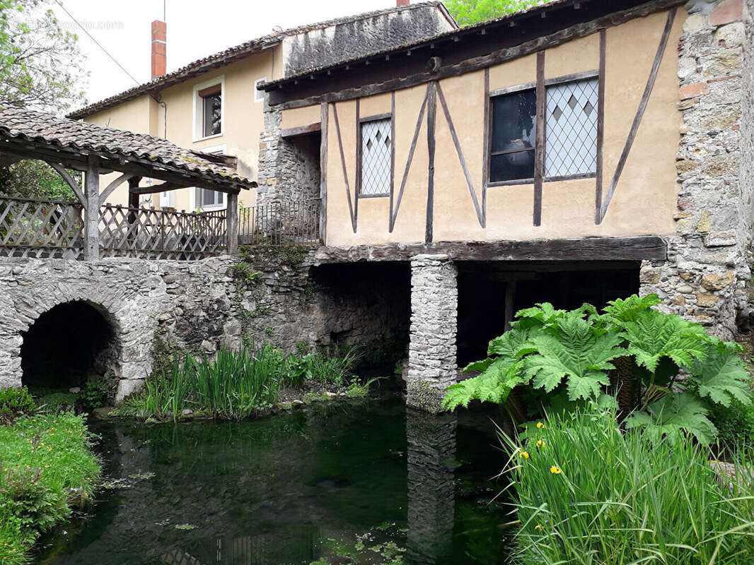 Ancien Moulin sur 5 hectares - photo 3