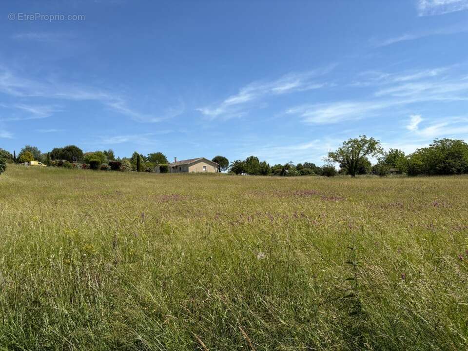 Terrain à MONTPITOL