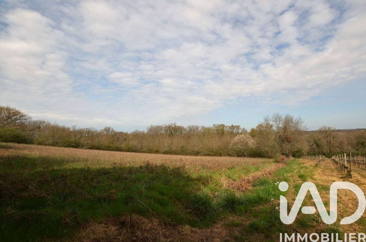 Photo 1 - Terrain à MAULICHERES