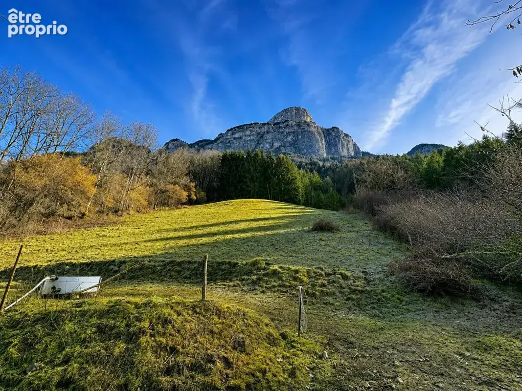 Terrain 14012 m² à Le Petit-Bornand-Les-Glieres  - photo 4