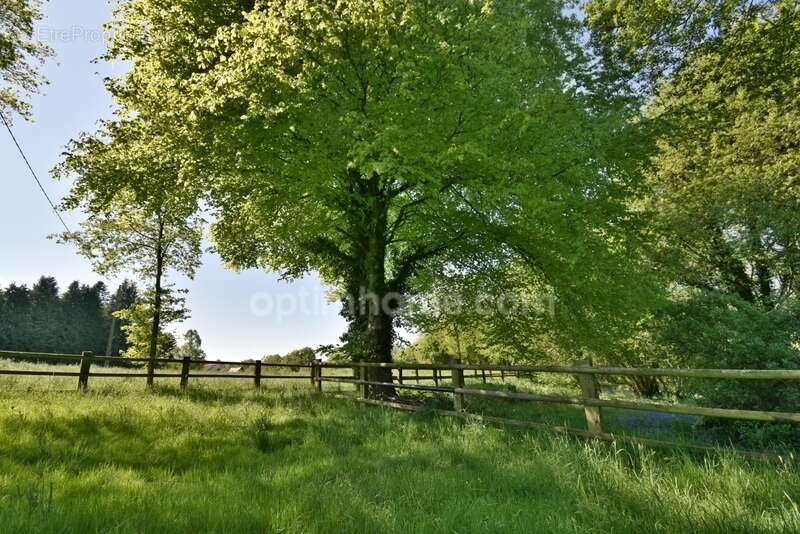 Maison à MOUSTOIR-AC