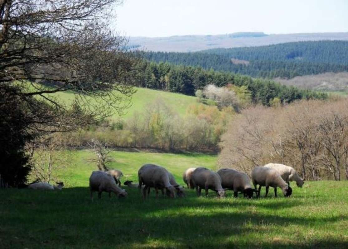 Maison à Cussy en Morvan  de 136 m2 - 8 pièces - diverses dépendances - terrain 1182 m2 - photo 52