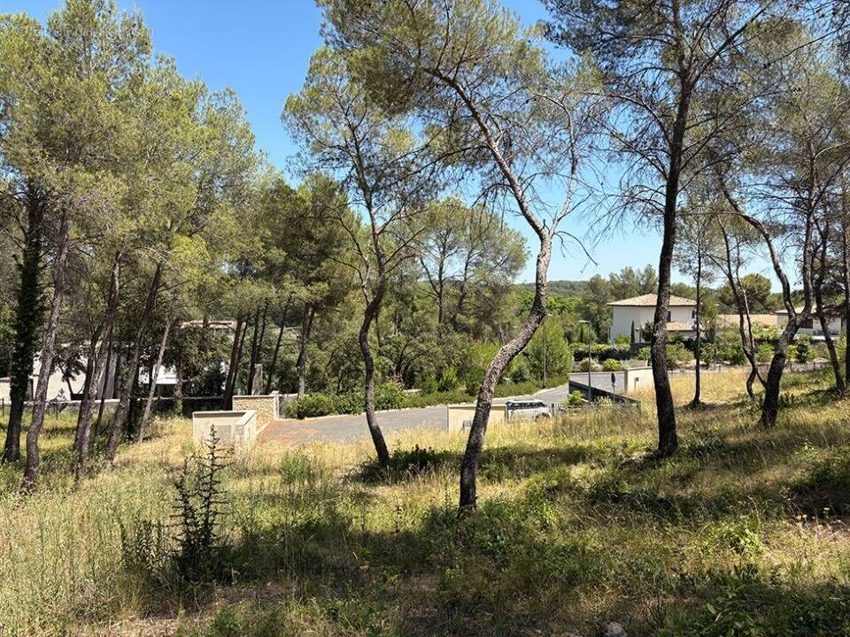 Terrain à MONTFERRIER-SUR-LEZ