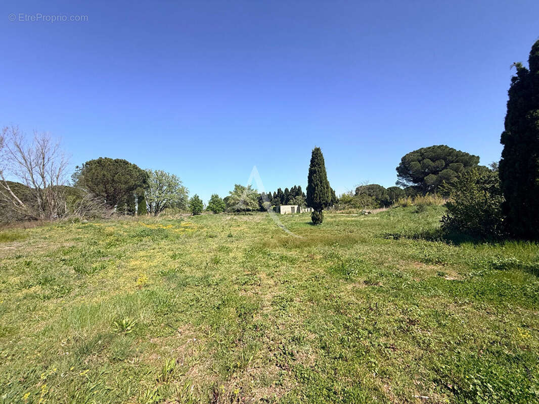 Terrain à CASTELNOU