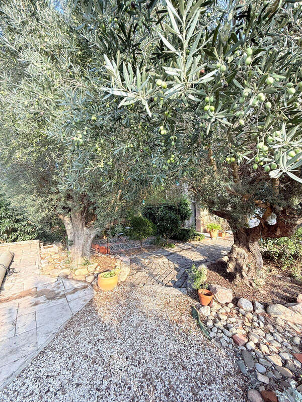 Maison à ORTAFFA