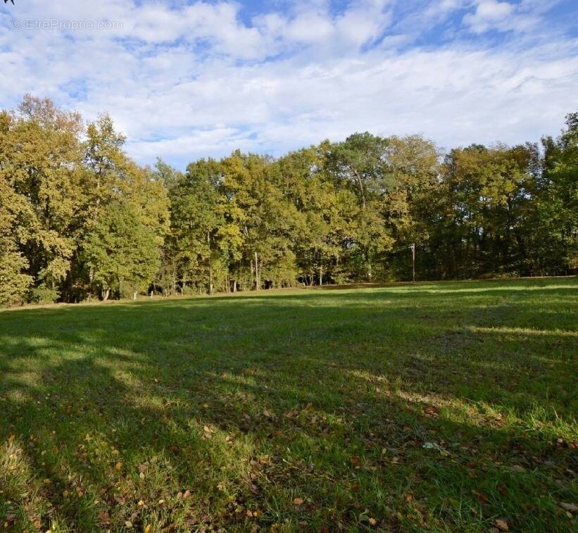 Terrain à SAINT-SERNIN