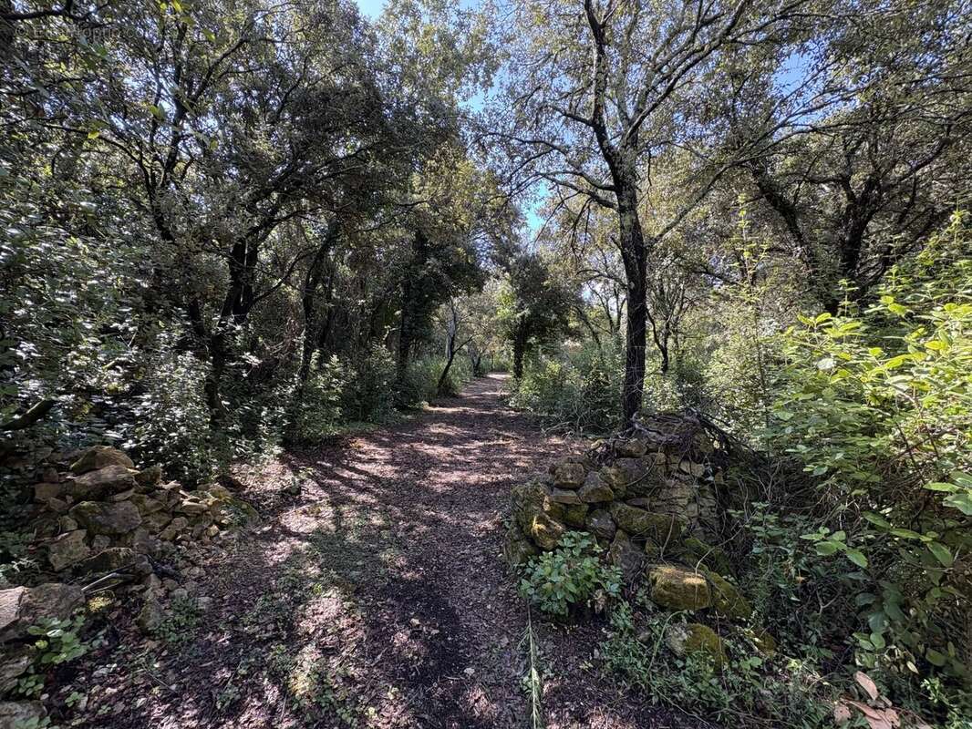Terrain de 2 695 m² - photo 2