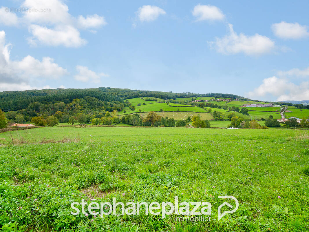 Terrain à CLUNY