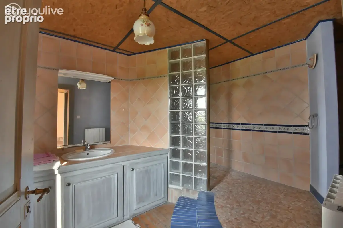 Propriété  de caractère plus de 300m² avec 1600m² de terrain - photo 15