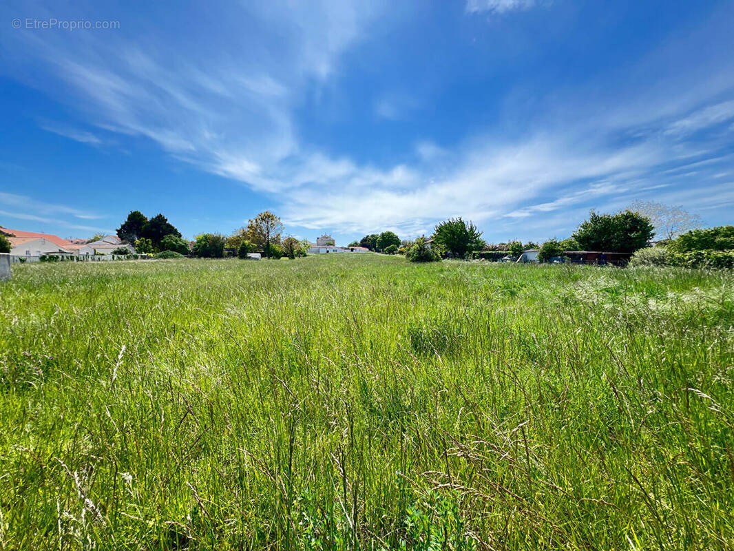 Terrain à ARVERT