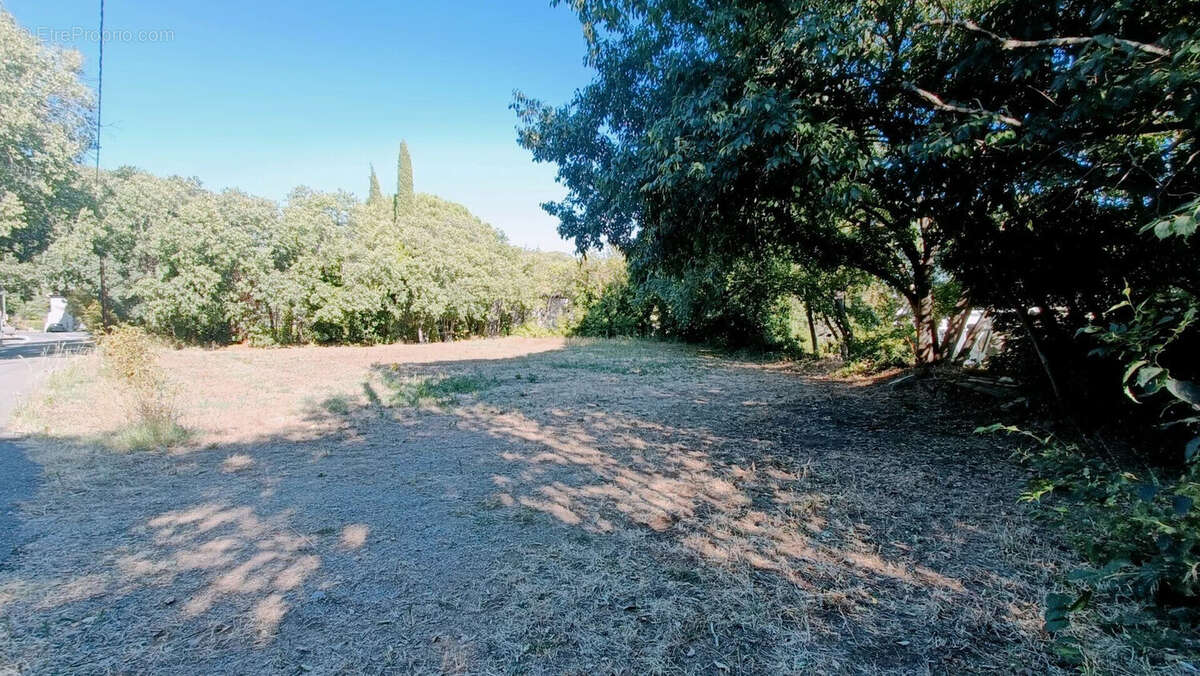 Terrain à CESSENON-SUR-ORB