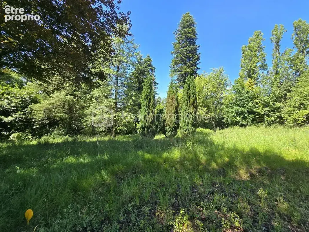 Terrain constructible de 975m² viabilisé – Libre de constructeur - photo 2