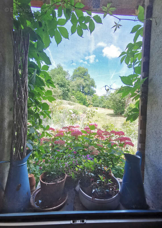 Maison d'artiste avec jardin botanique, source - Terrain 1,6 hectare - photo 43
