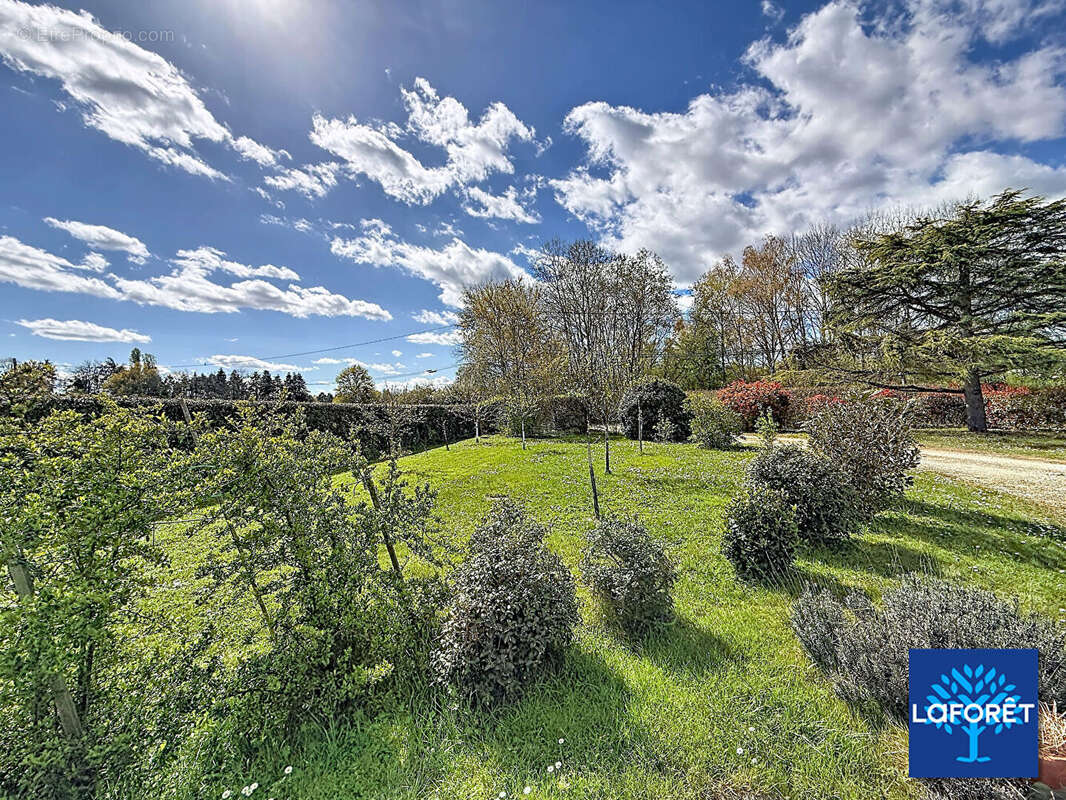 Maison à MONT-PRES-CHAMBORD