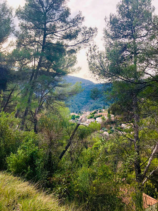 Terrain à TOURRETTE-LEVENS