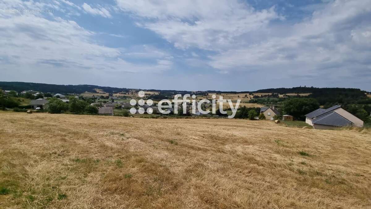 Terrain 8396 m² à Saint-Alban-Sur-Limagnole  - photo 2