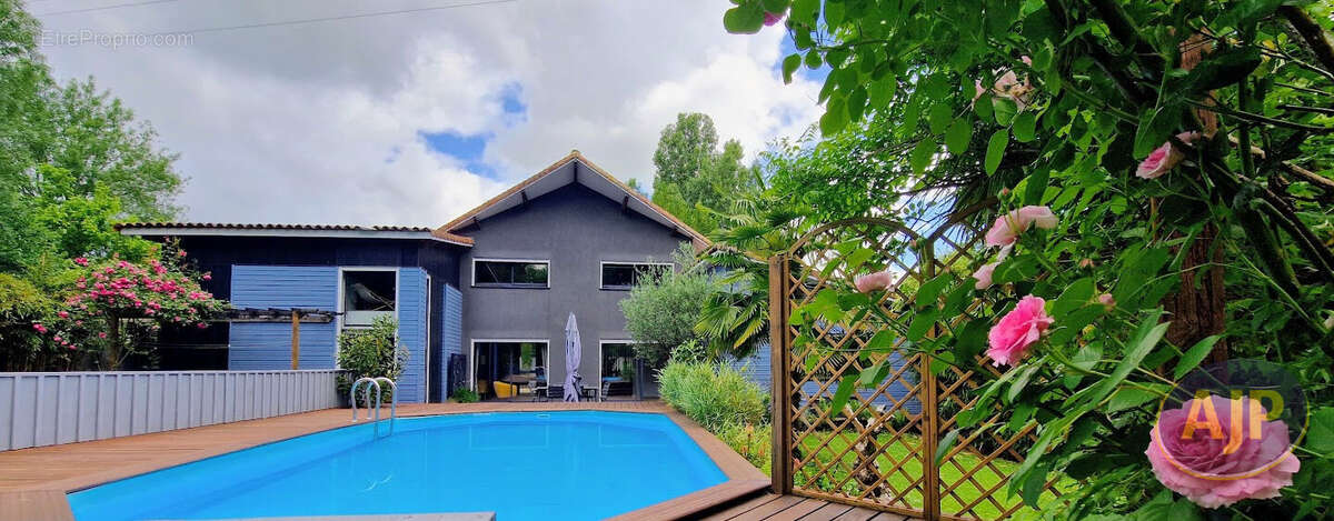 Maison à MONNIERES