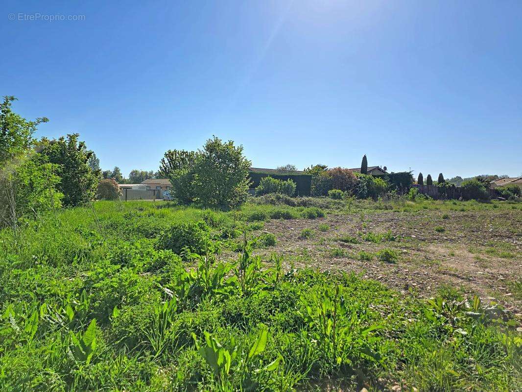 Terrain - Viabilisé - 700m² - photo 5