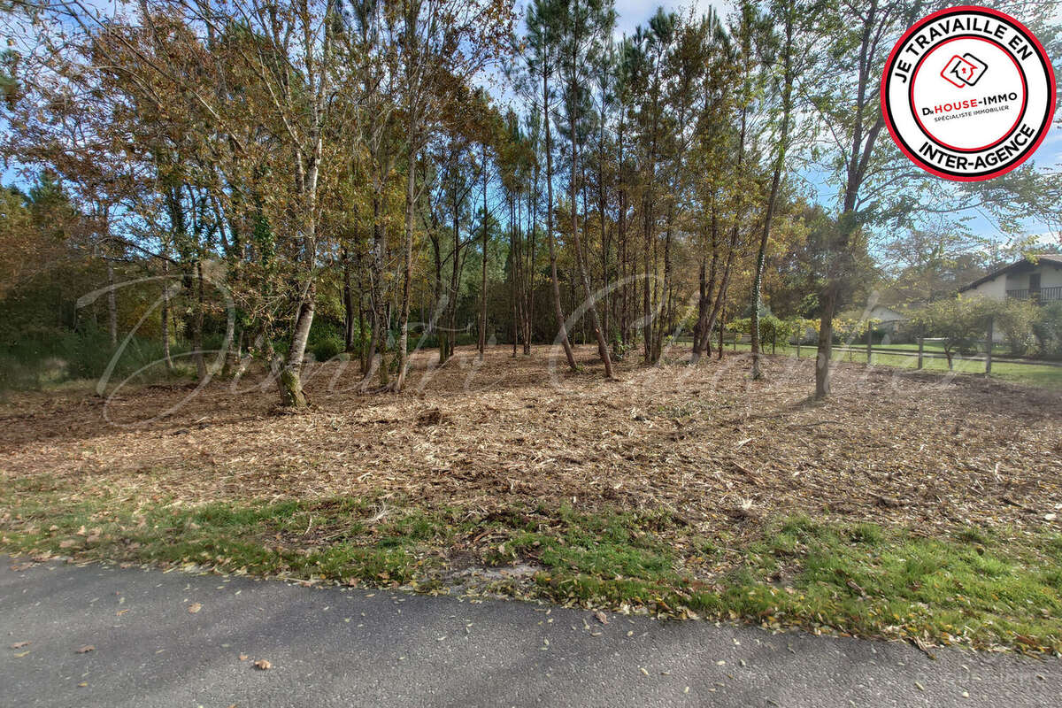 Terrain à SAINT-SAUVEUR