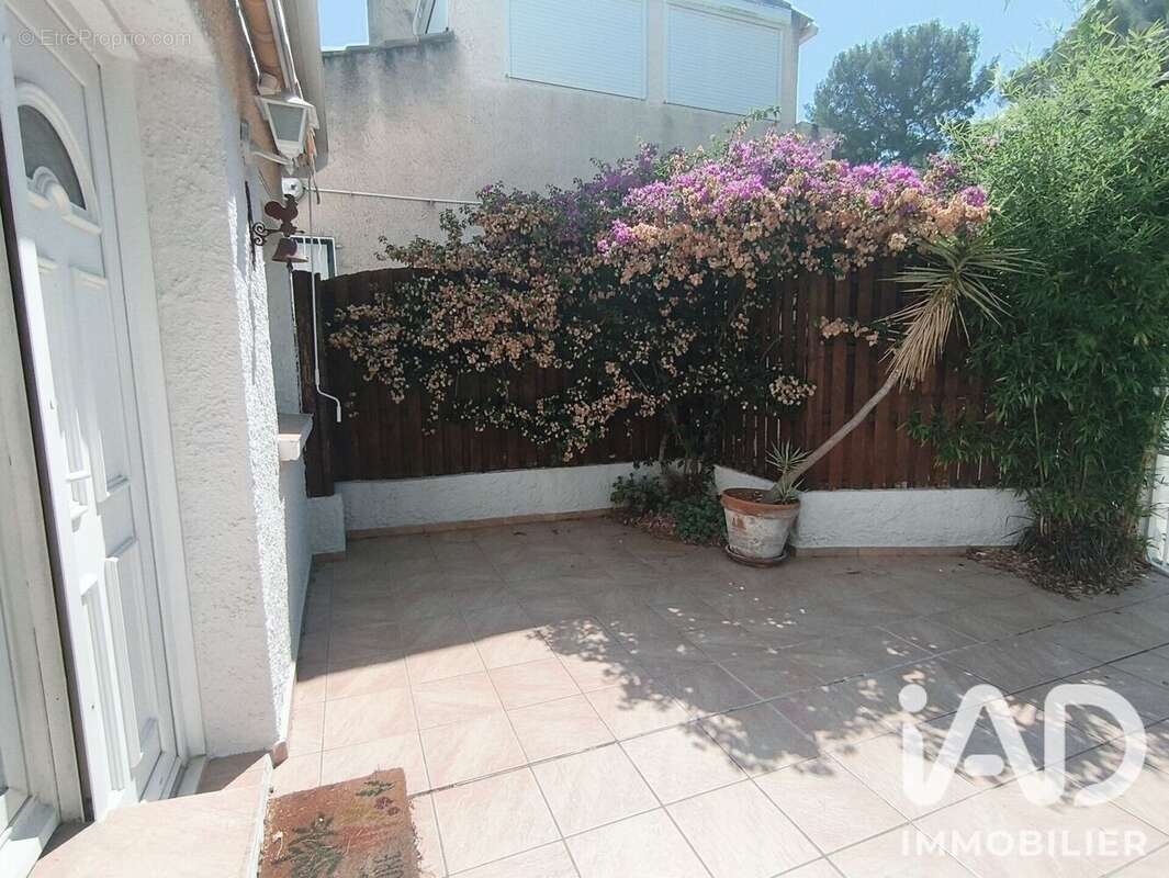 Photo 4