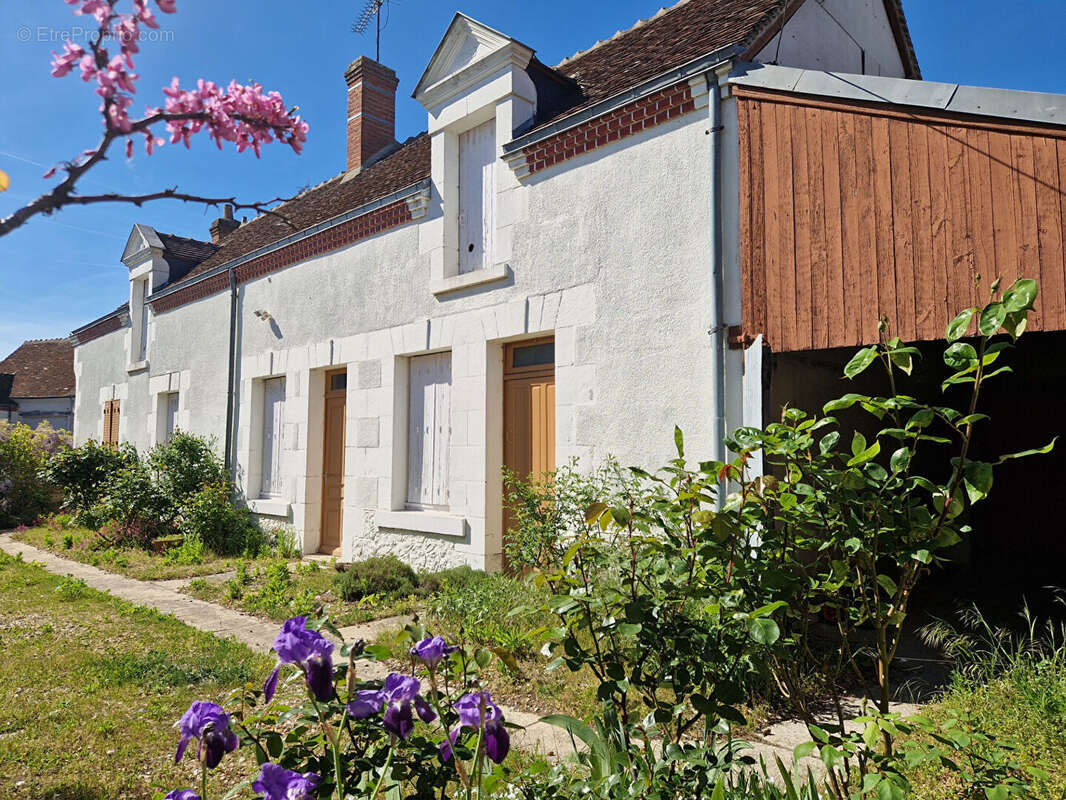Maison à SELLES-SUR-CHER