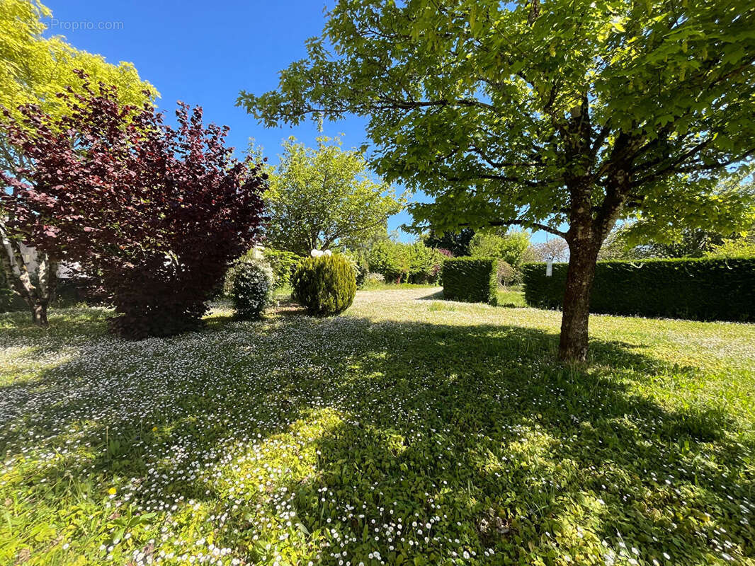 Ensemble immobilier avec dépendances - 229 m2 - photo 16