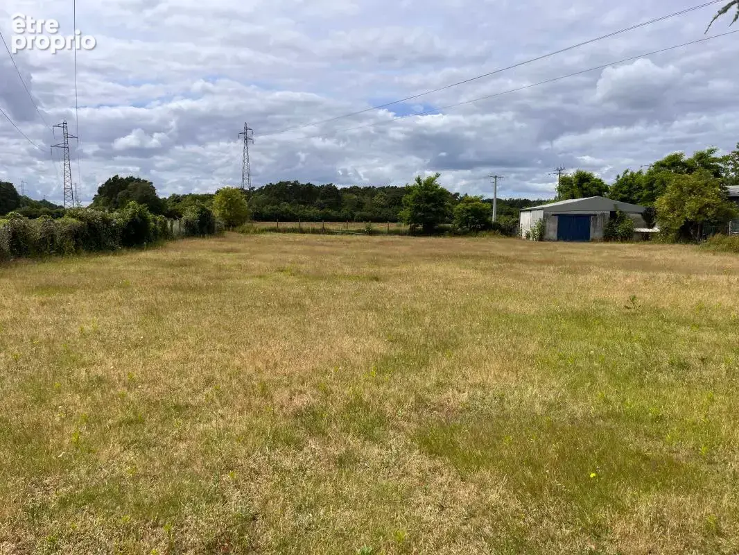 Terrain À Vendre sur  Olivet sud - photo 2