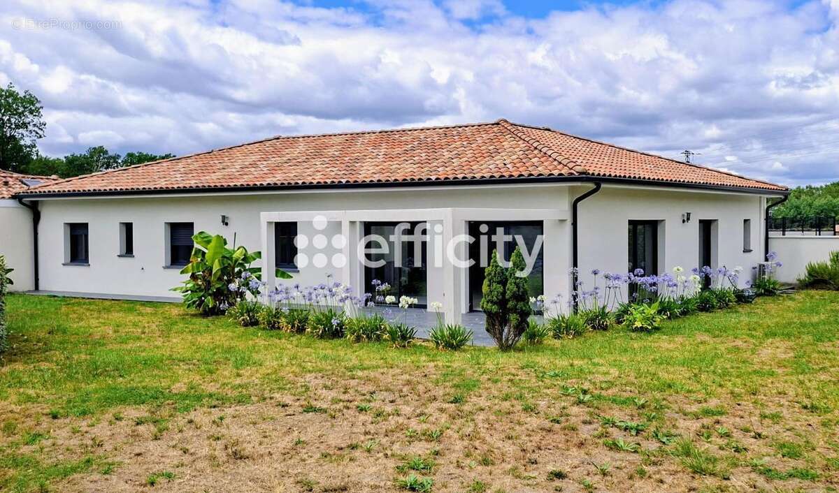 Maison neuve - photo 16