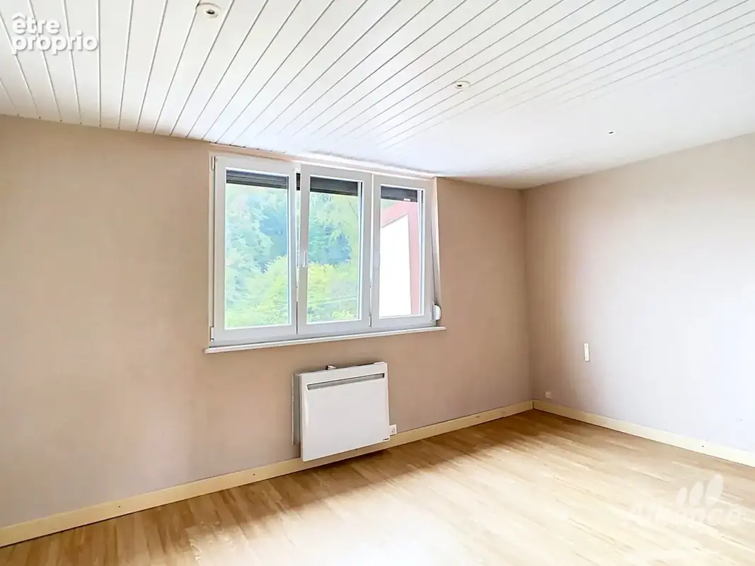 Maison 6 pièces DELLE - Jardin, 4 chambres, garages et dépendances - photo 10