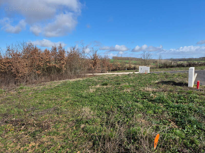 Terrain à LA ROMIEU