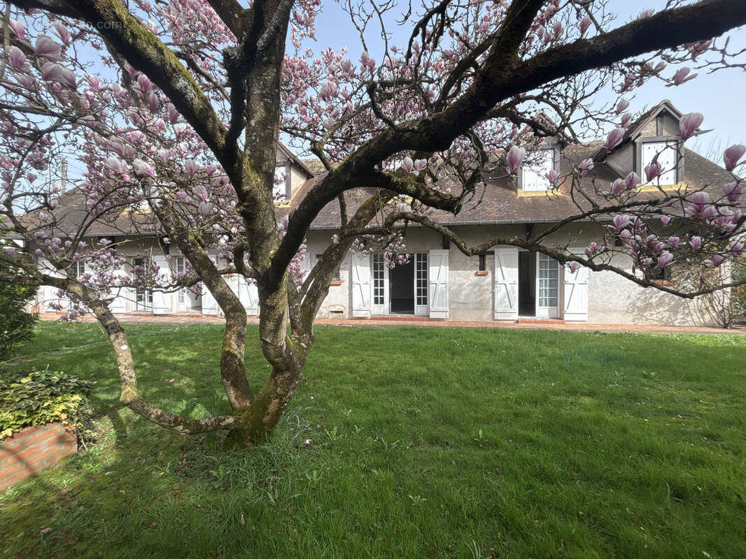 Maison à OLIVET
