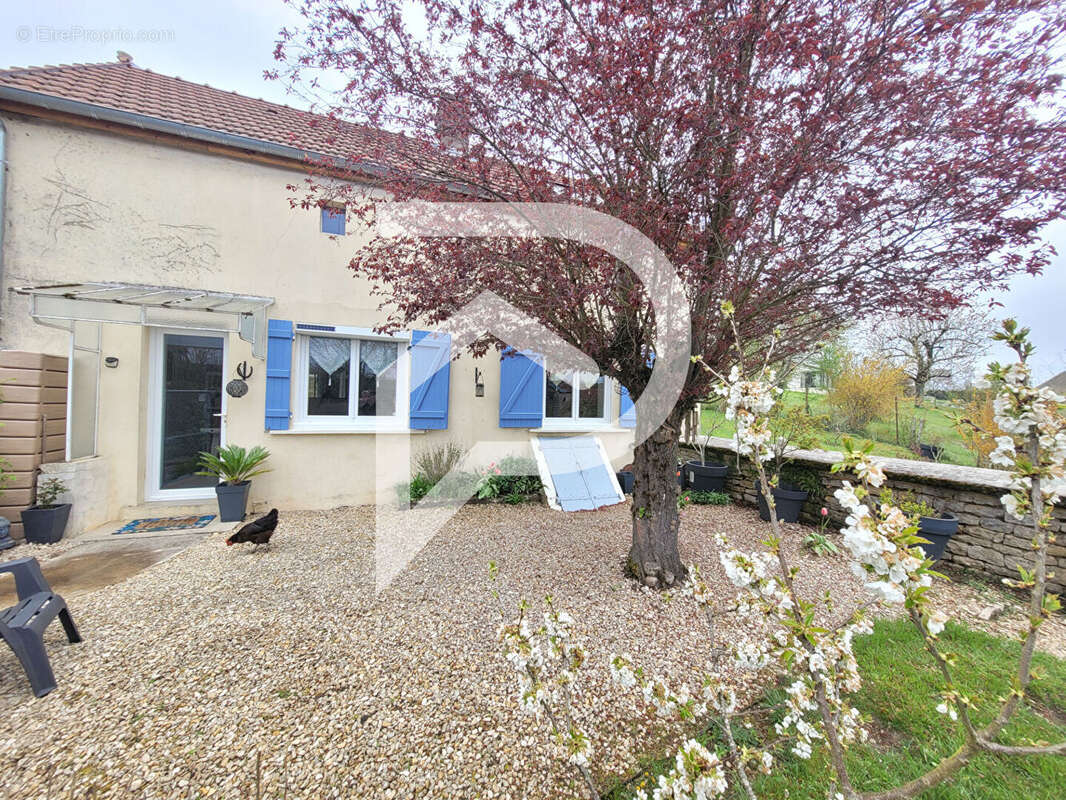 Maison à DANCEVOIR