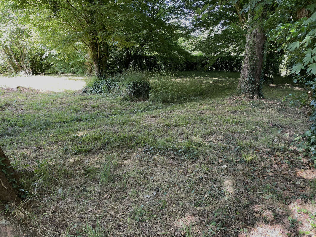 Terrain à SAINTE-GENEVIEVE