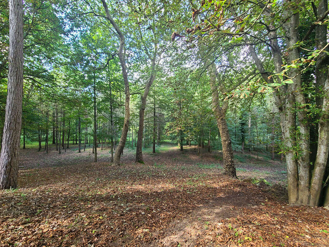 Maison à PITHIVIERS-LE-VIEIL