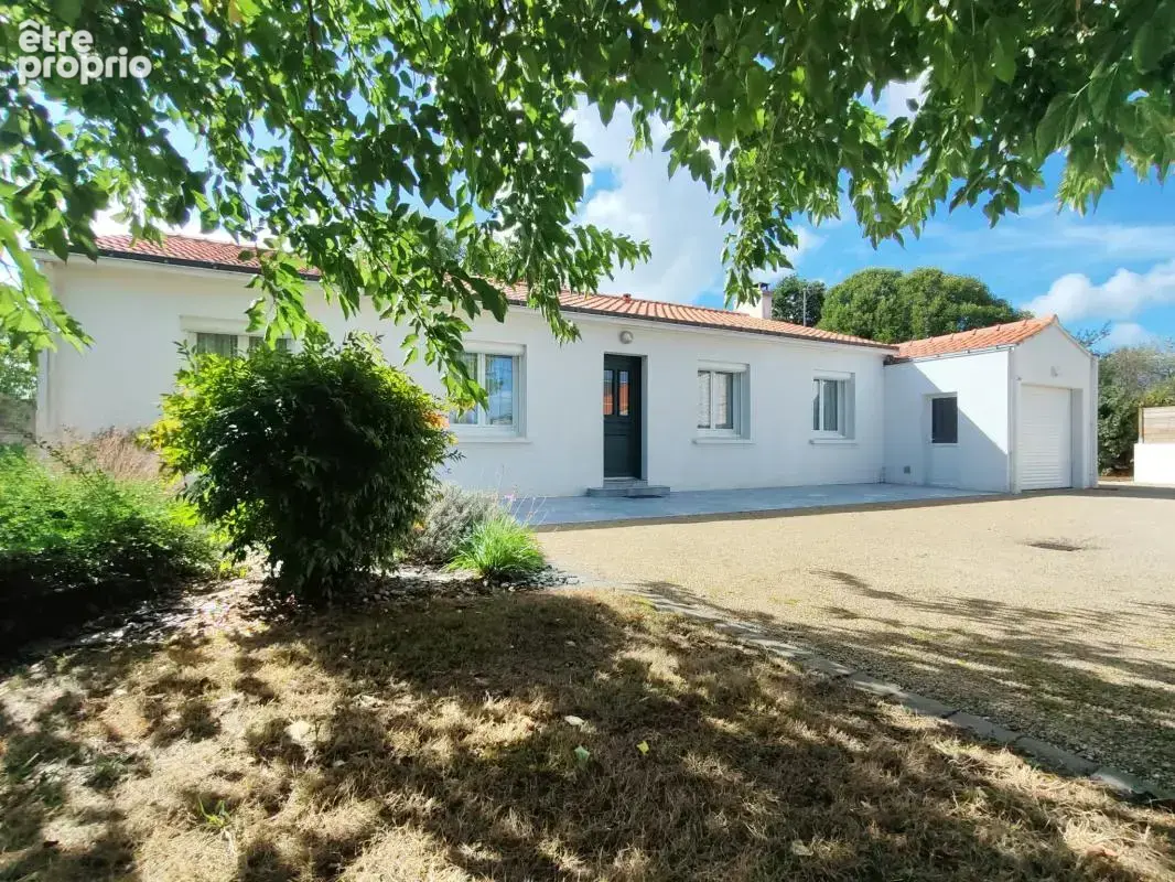 Maison de plain-pied sur grand terrain de 2 607 m2 -- macheco - photo 2