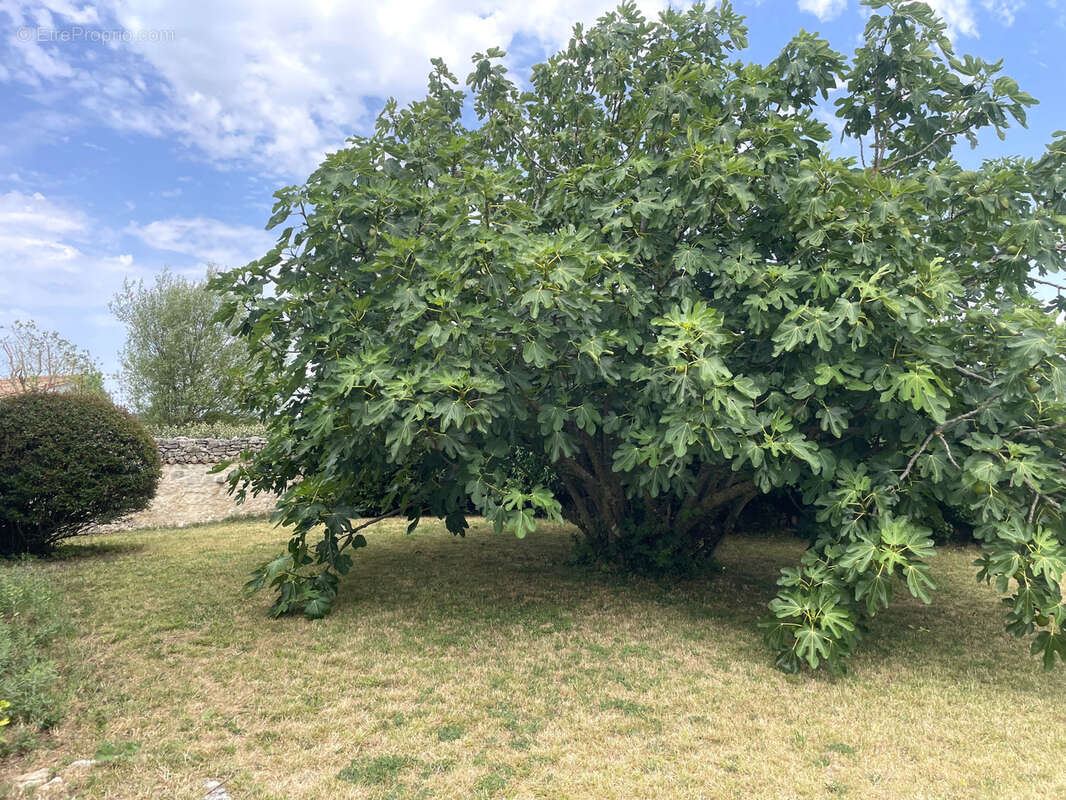 Maison à SAINTE-MARIE-DE-RE