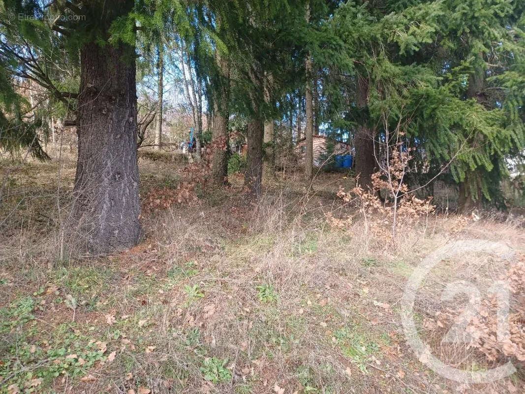 Maison à VILLEVOCANCE