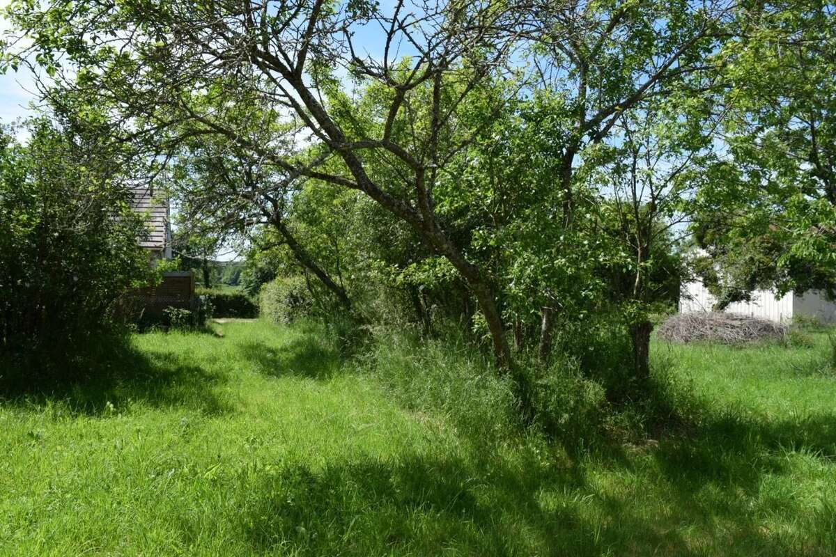 Fermette à vendre dans la Nièvre avec 3375 m² de terrain - photo 39
