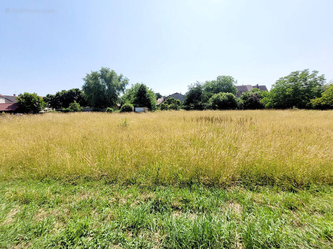 Terrain à CHAMPVANS