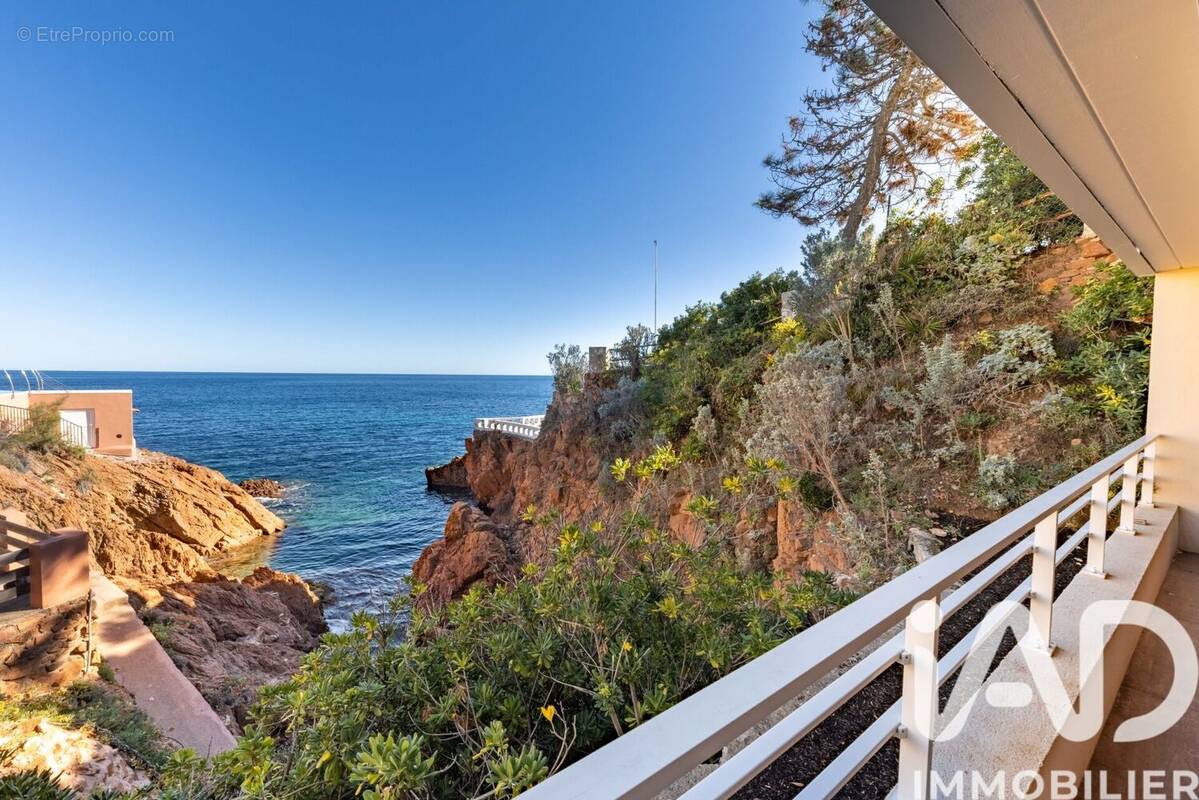 Photo 1 - Appartement à LA SEYNE-SUR-MER