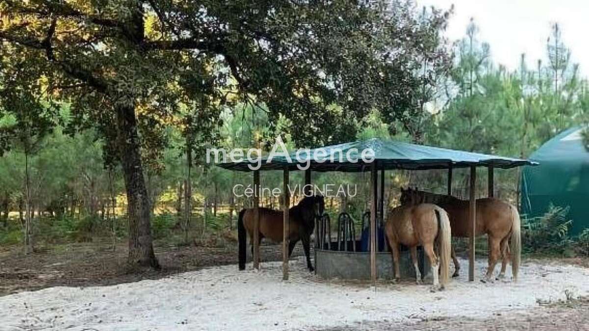 Maison à OUSSE-SUZAN