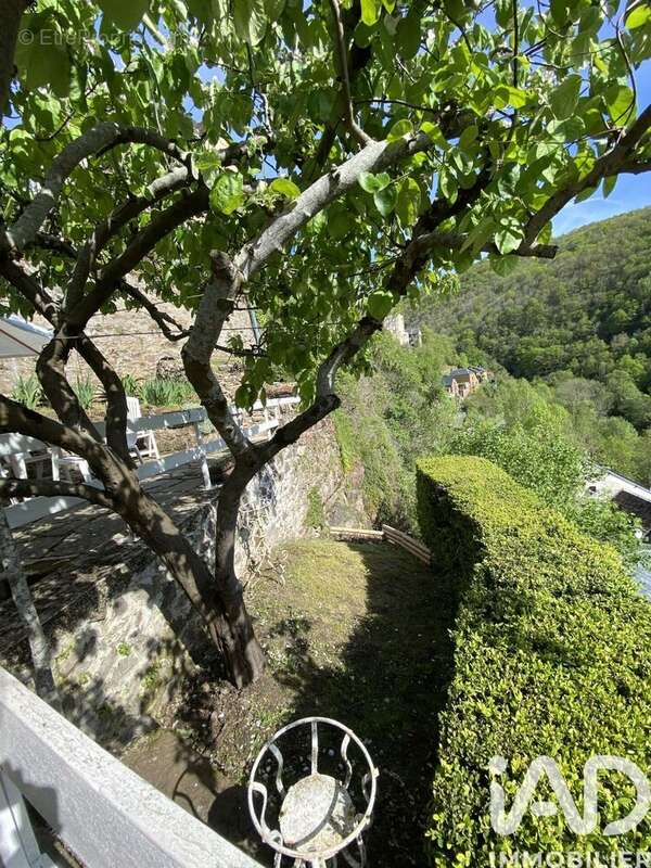 Photo 3 - Maison à SAINT-LAURENT-D'OLT