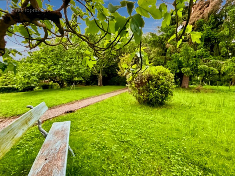 Maison à TRIE-SUR-BAISE