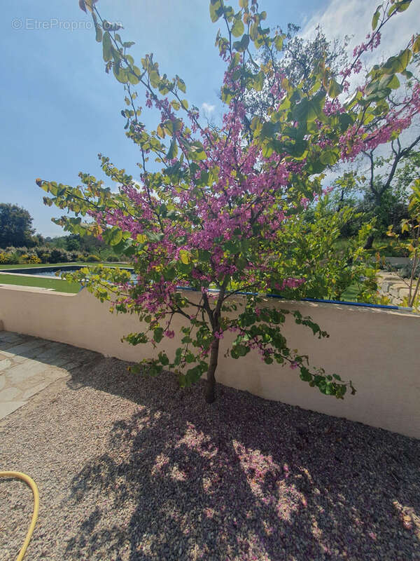 Maison à PLAN-DE-LA-TOUR