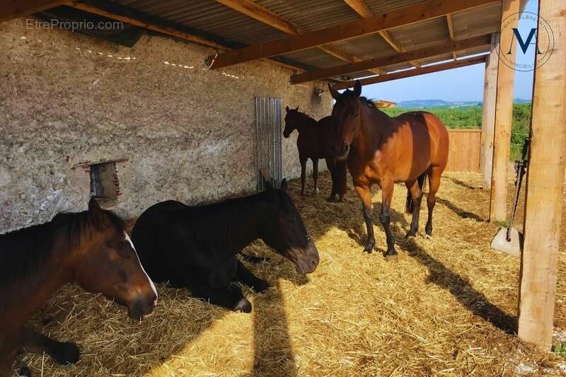Maison à TOURNON-D&#039;AGENAIS