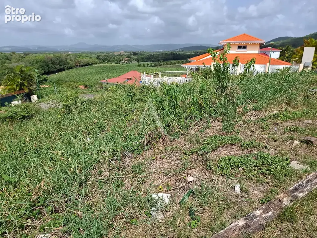 Beau Terrain Les Trois Ilets 608 m2 - photo 3