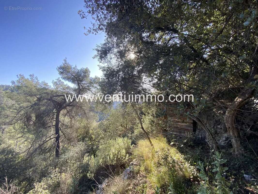 Terrain à SAINT-CEZAIRE-SUR-SIAGNE