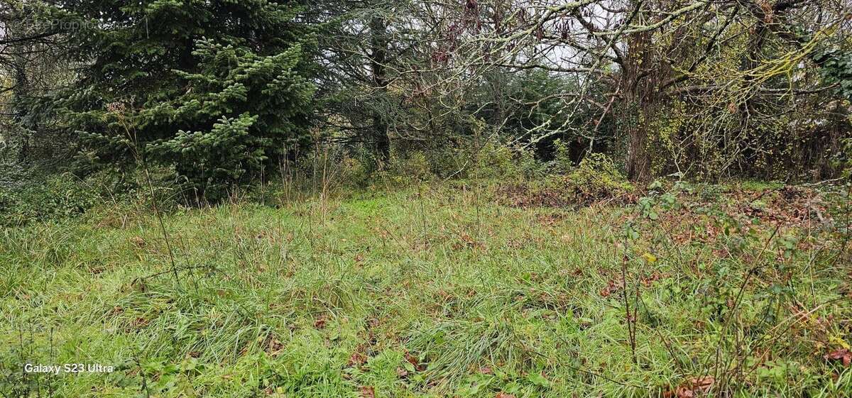 Terrain à SAINT-YRIEIX-SUR-CHARENTE
